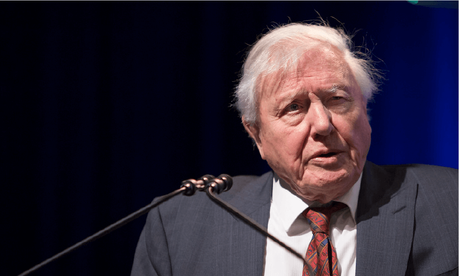 desarrollador David Attenborough