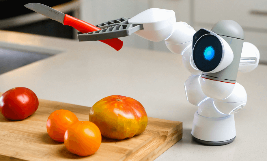 robots sentido común