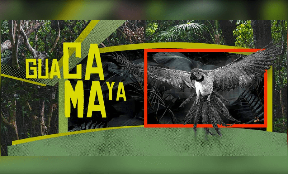 Guacamaya IA