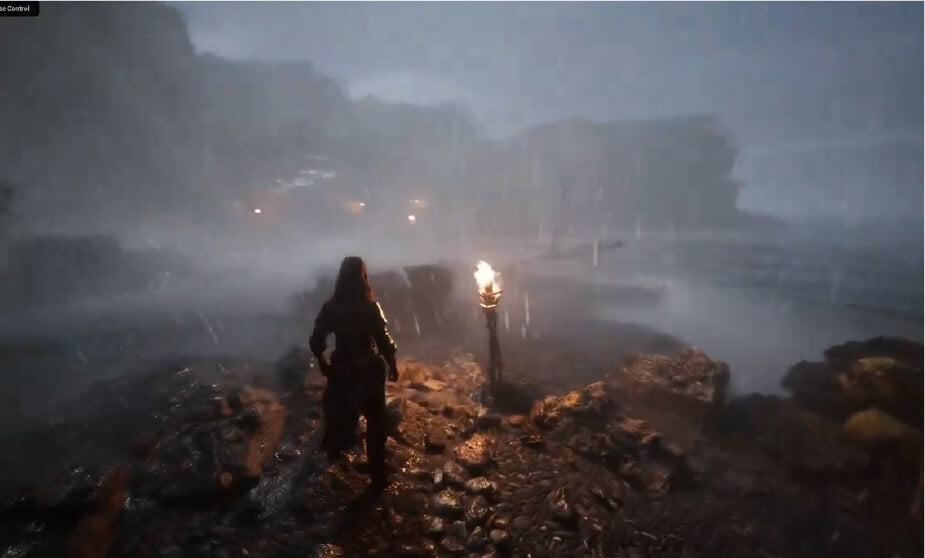 The Dark Swamps