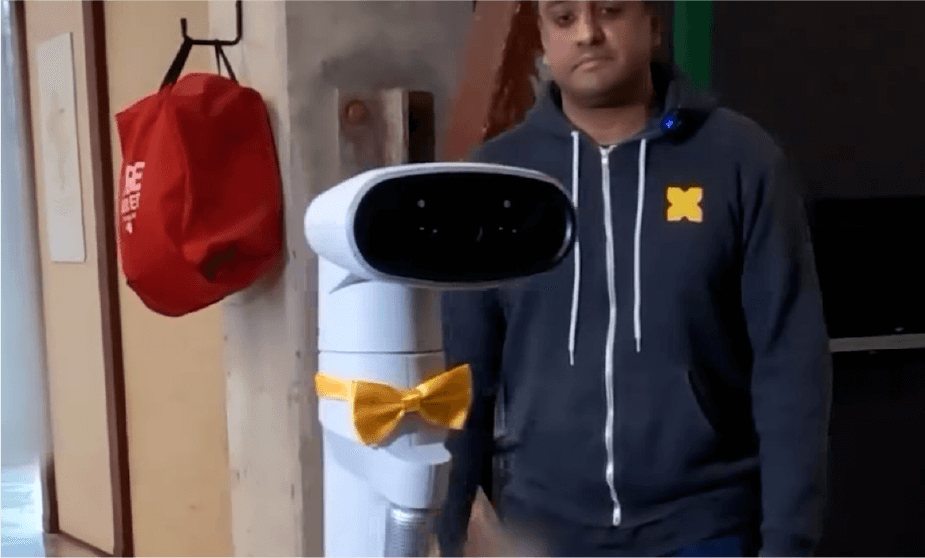 Gemini AI robots