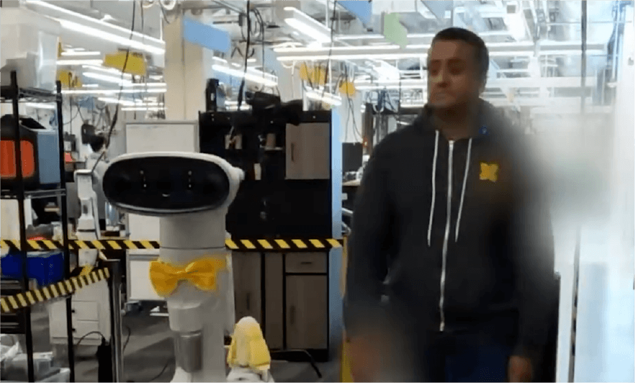 Gemini AI robots