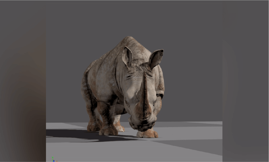 Rhino Rig