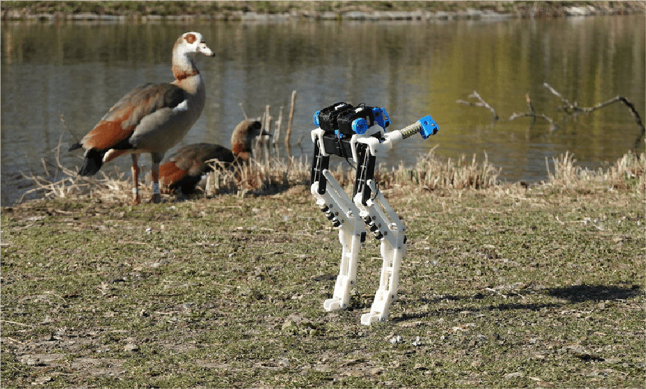 BirdBot: La pierna robótica inspirada en aves