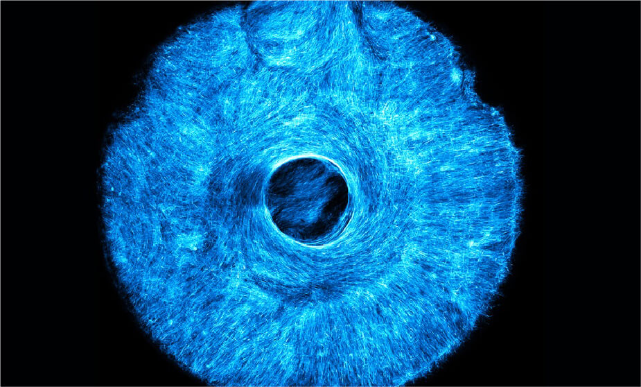 Músculos artificiales que imitan el movimiento natural