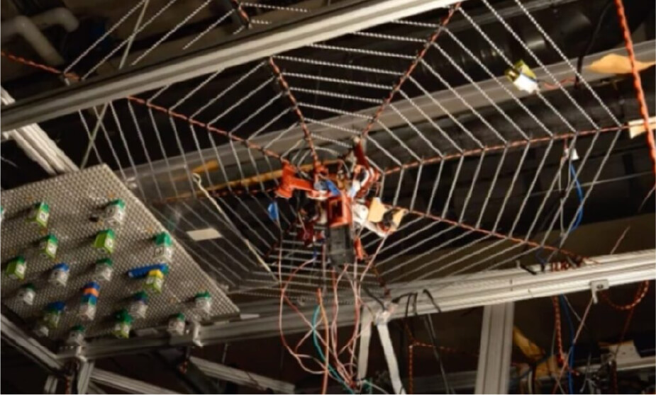 SpiderBot y la ecolocalización en arañas robóticas