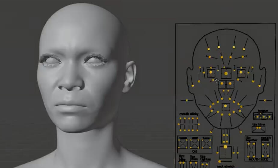 Poly Hammer: personalización facial en Blender, Meta-Human DNA