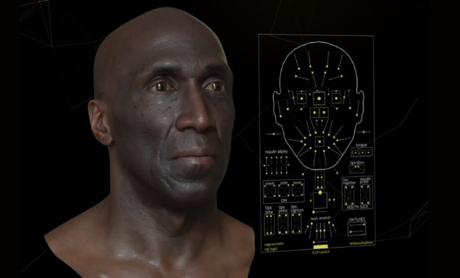 Meta-Human DNA