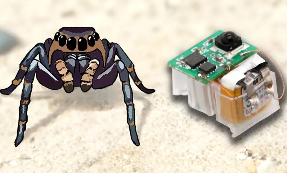 Actuadores flexibles dan agilidad a los robots insecto