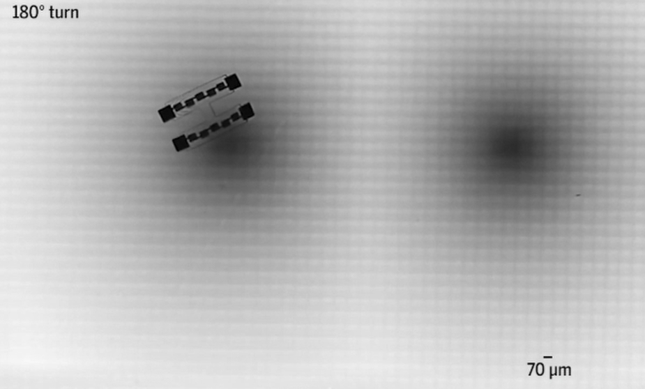 microscópicos